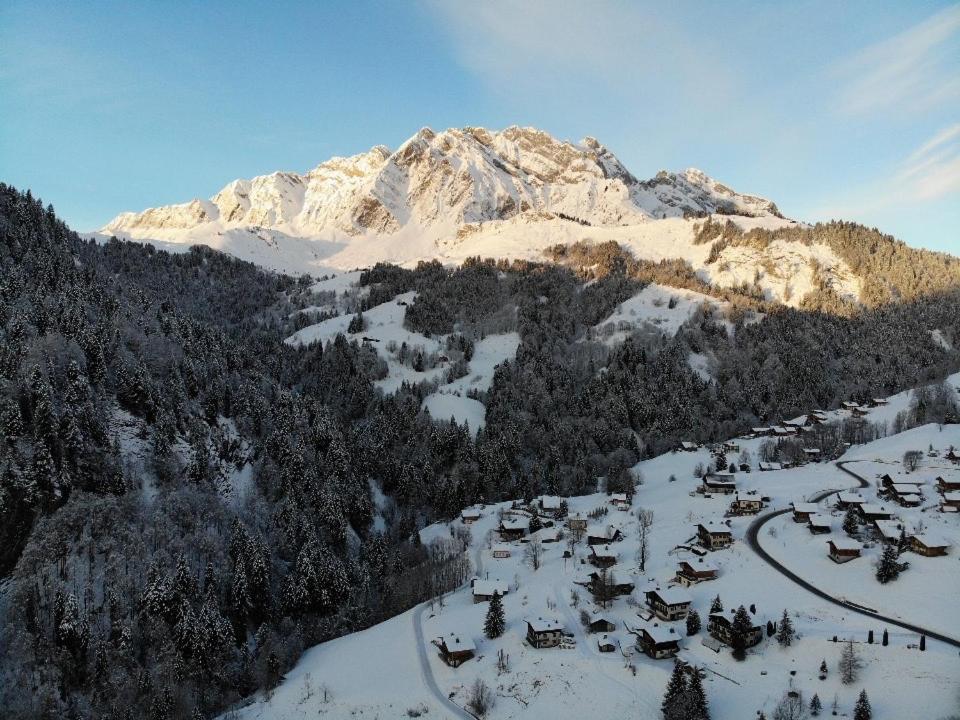 La Coufa, Spacieux Duplex En Chalet, Terrasse, Jardin, Vues Montagnes 拉格利塔兹 外观 照片